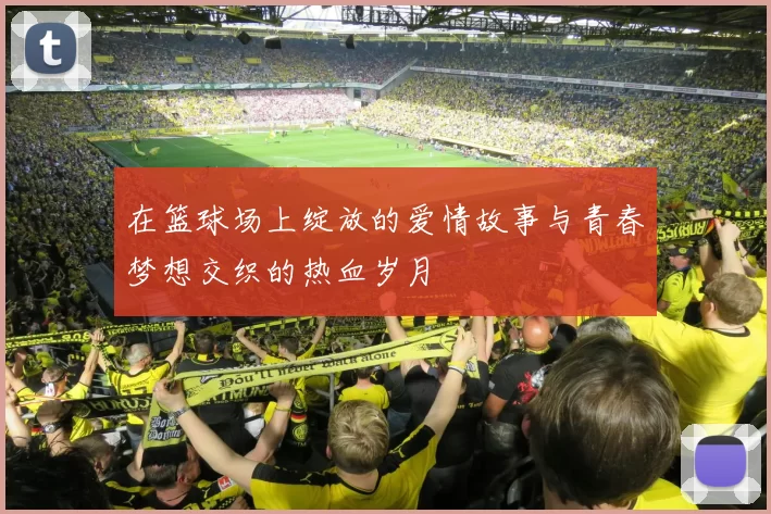 在篮球场上绽放的爱情故事与青春梦想交织的热血岁月