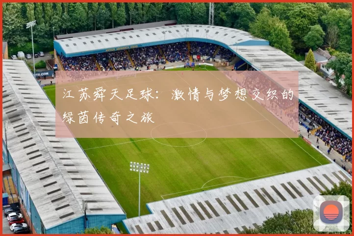 江苏舜天足球：激情与梦想交织的绿茵传奇之旅
